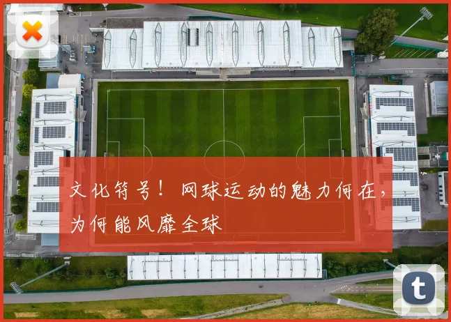 文化符号！网球运动的魅力何在，为何能风靡全球