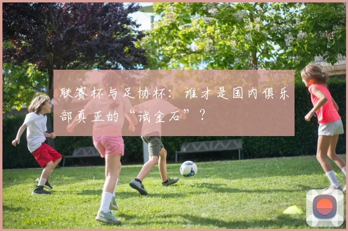 联赛杯与足协杯：谁才是国内俱乐部真正的“试金石”？